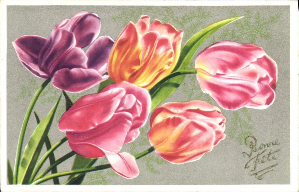 Tulipas coloridas — Carta postal de vœux — EDA - Frente