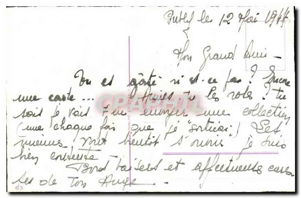 Rosas — flor e botões — editor não visível - Verso