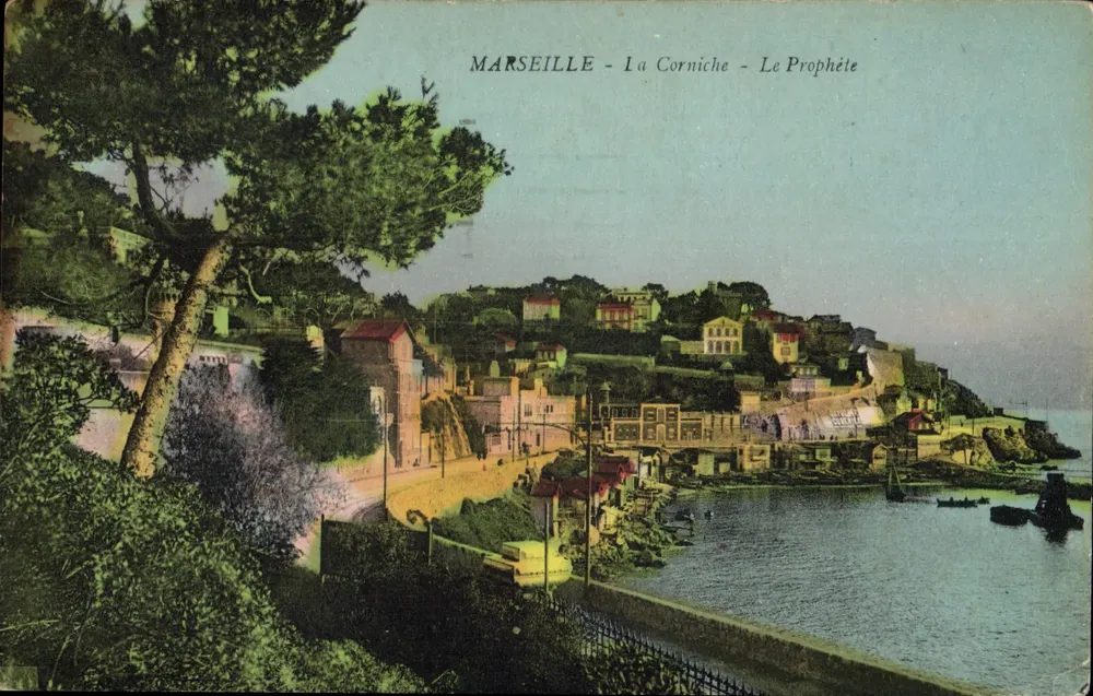 Marselha - A Corniche - O Profeta — vista da corniche com o farol do Profeta e um pinheiro em primeiro plano - Frente