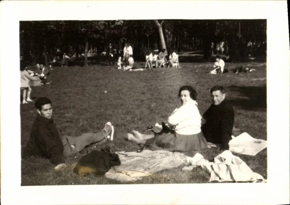 Rodzina lub przyjaciele na pikniku — park — N°634 - Awers