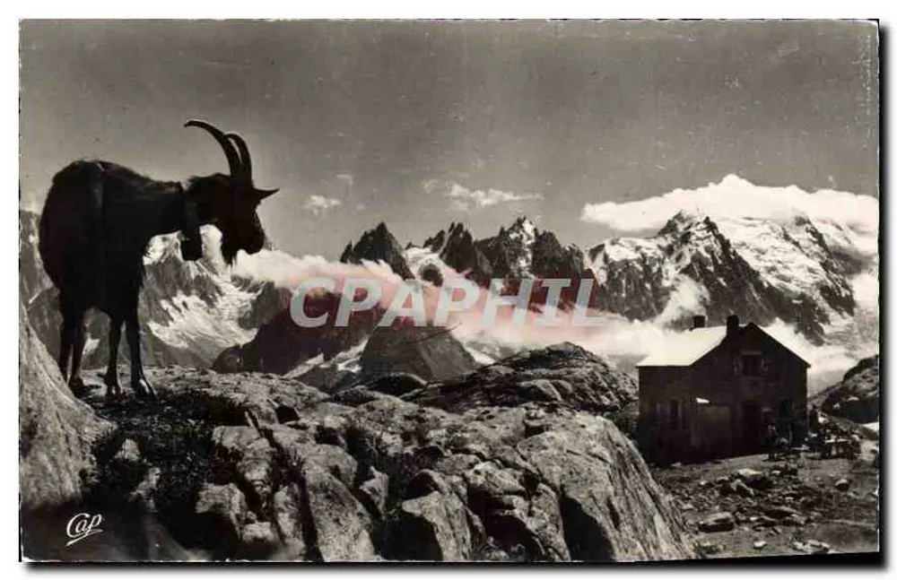 Refuge du Lac Blanc — Aiguilles de Chamonix — Réal-Photo - Vorderseite