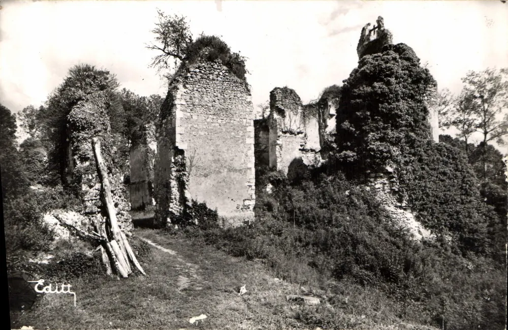 Ruinas del castillo de Vaujours — Souvigne — Ediciones L & L - Anverso