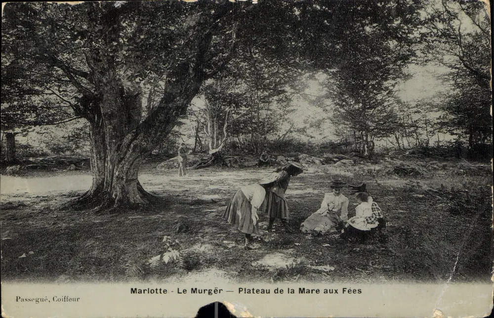 Marlotte - Le Murgér — Plateau de la Mare aux Fées — Passegué, Friseur - Vorderseite