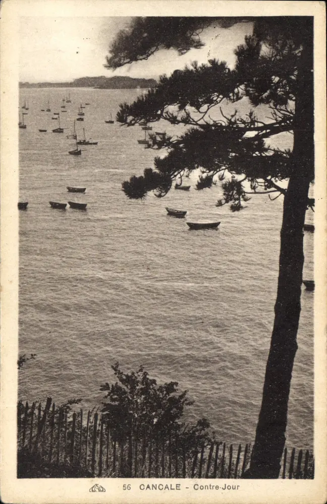 Cancale - Contre-Jour — vista do porto com barcos e pinheiro em primeiro plano — série 56 - Frente