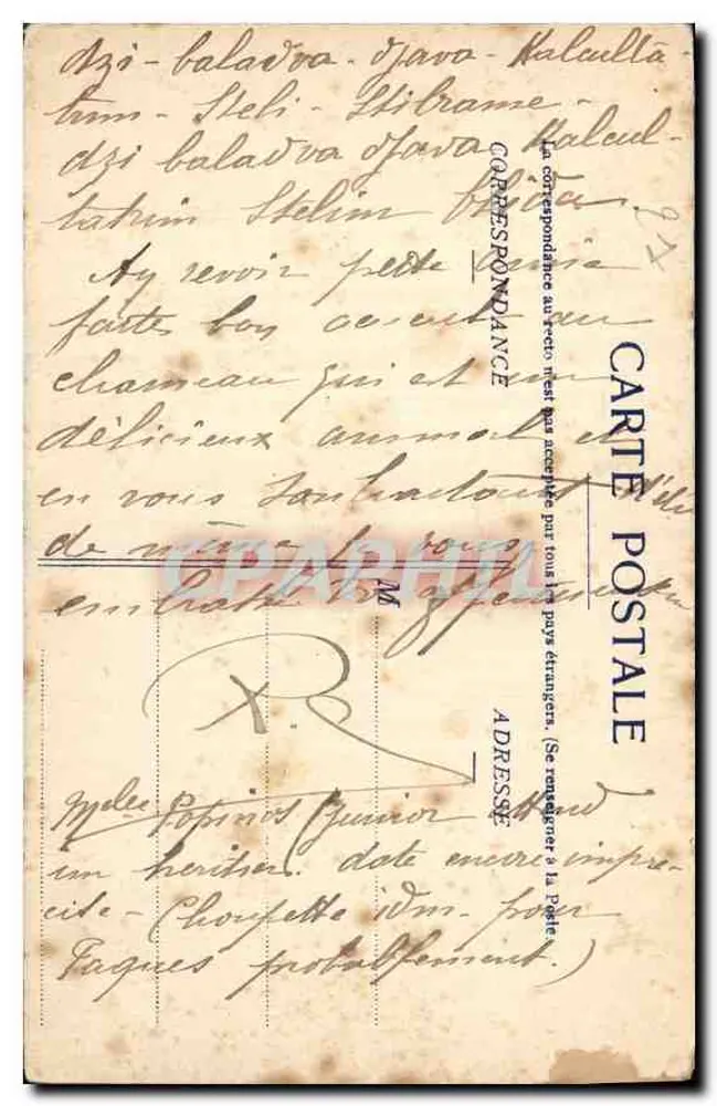 Dijon — Jardín de l'Arquebuse. El Sauce Negro. — Edición de la Ménard, n°58 - Reverso