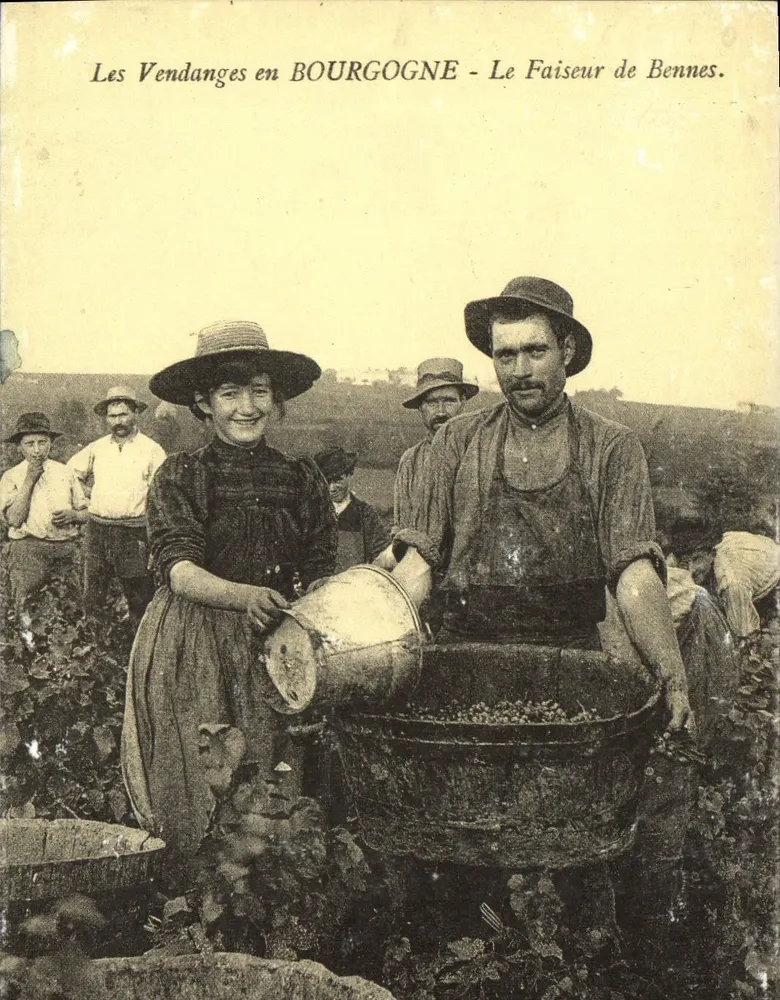 La Vendimia en BOURGOGNE - El Hacedor de Cubos. - Anverso