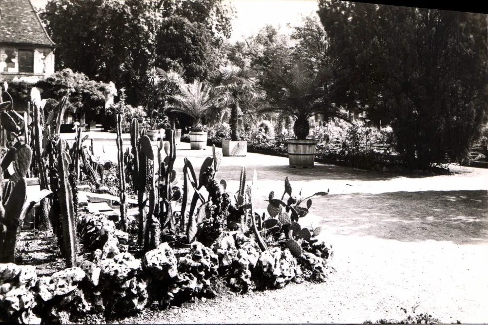 Jardin de l'Arquebuse — Dijon (Côte-d'Or) — Édition E. PROTET, Dole (Jura) - Vorderseite