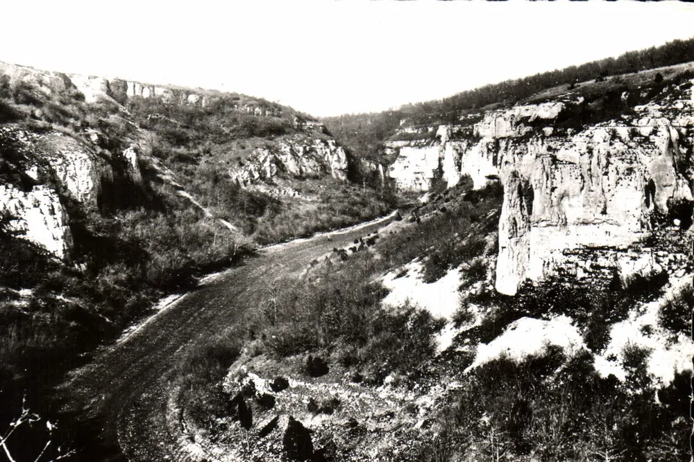La Serrée — Nuits-Saint-Georges (Côte-d'Or) — Edição LBERNUY - Frente