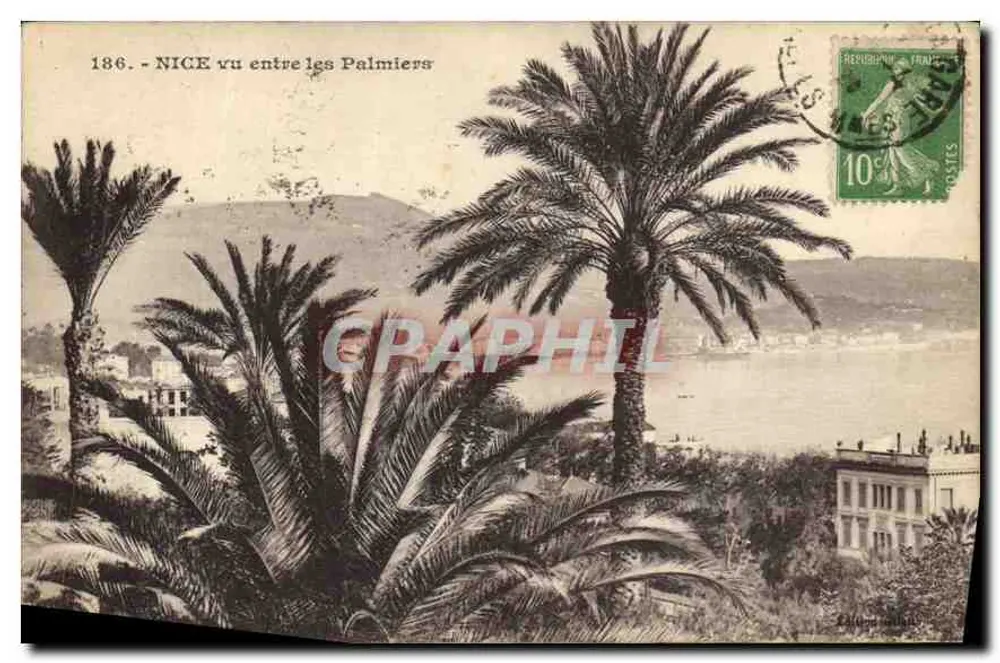 NICE vista entre os Palmiers — série 186 — editor Éditions Léonard - Frente