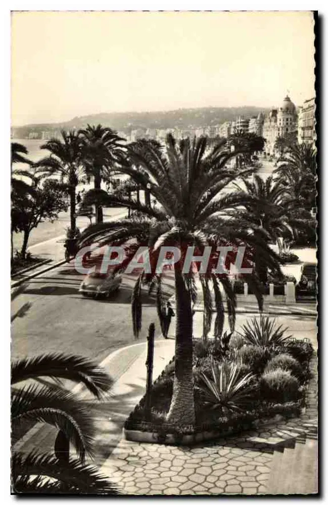 Nice (A.M.) — Die Promenade des Anglais und ihre Palmen — Éditions Artistiques M. Paphil - Vorderseite