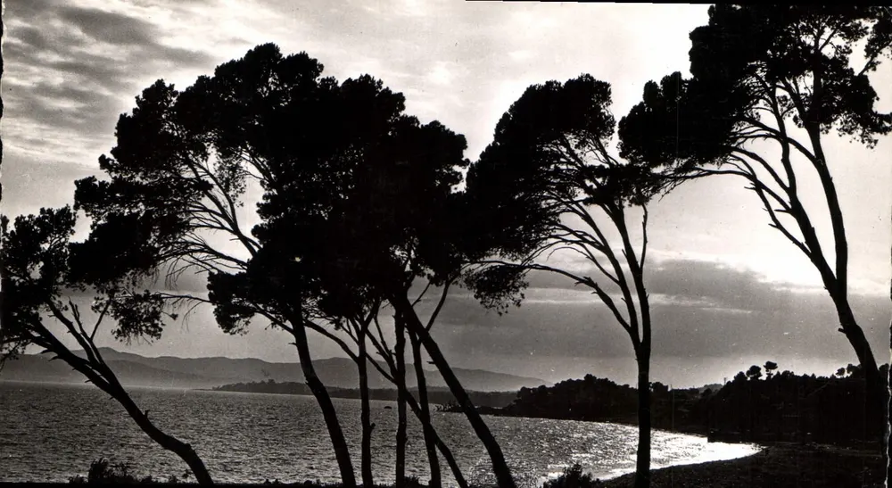 Sonnenuntergang durch die Kipfelpine — Die Côte d'Azur — Editions S.E.P.T. - Nice - Vorderseite