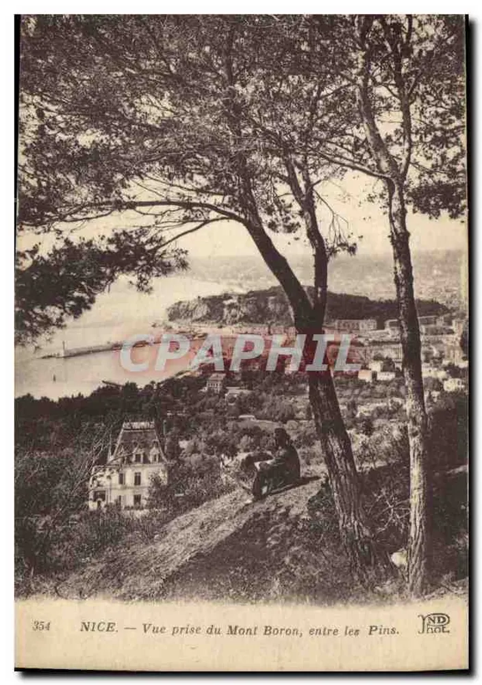 NICE — Aussicht vom Mont Boron zwischen den Kiefern — ND Hol, n° 354 - Vorderseite