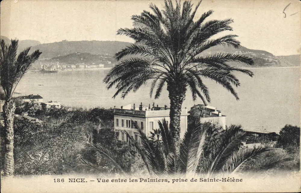 Ausblick zwischen den Palmen, aufgenommen von Sainte-Hélène — Nice — Edition Giletta, Foto. Nice, Nr. 186 - Vorderseite