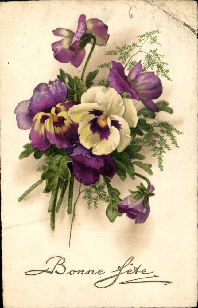 Bouquet van violette en witte margrieten — Goede feestdagen — uitgever Pititius, n°6 - Voorkant