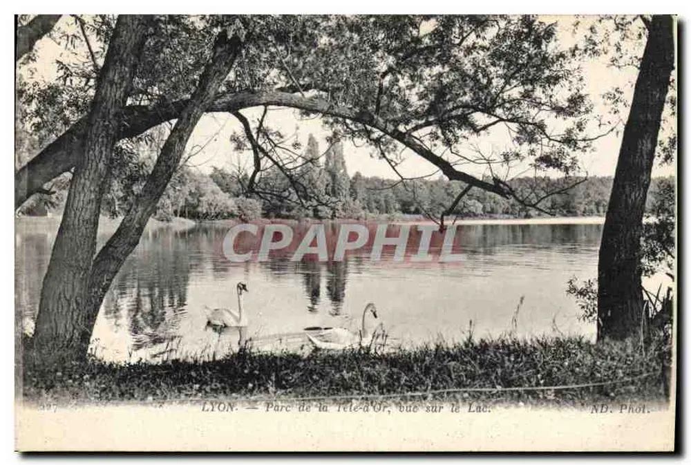 LYON — Parc de la Tête-d'Or, Ansicht des Sees — ND. Phot. - Vorderseite