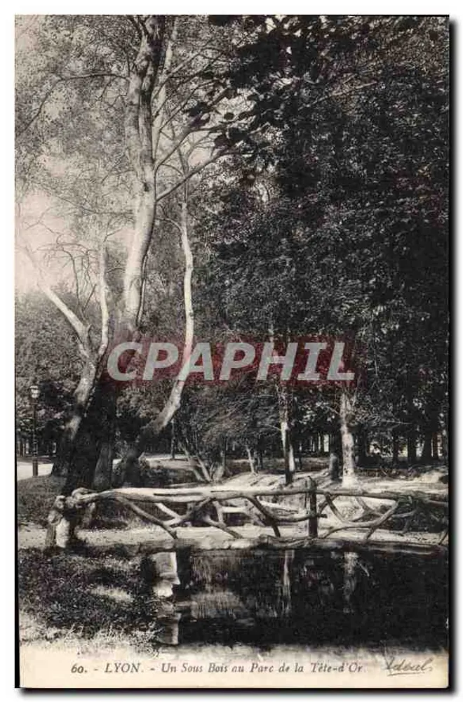 LYON - Ein Waldgebiet im Parc de la Tête-d'Or - Label - Vorderseite