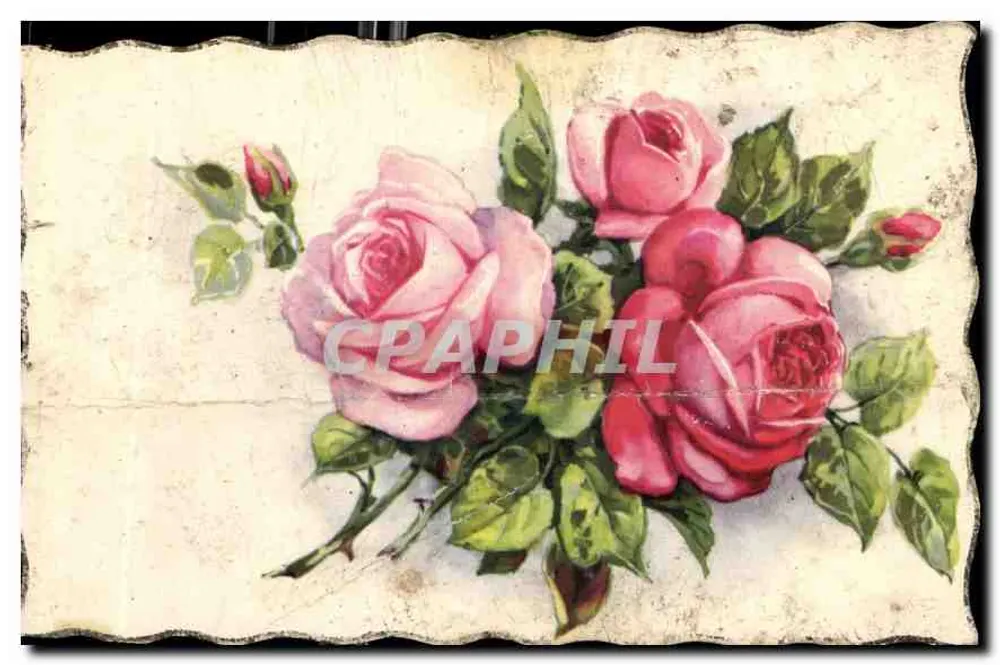 Arranjo de rosas — ilustração — editor desconhecido - Frente