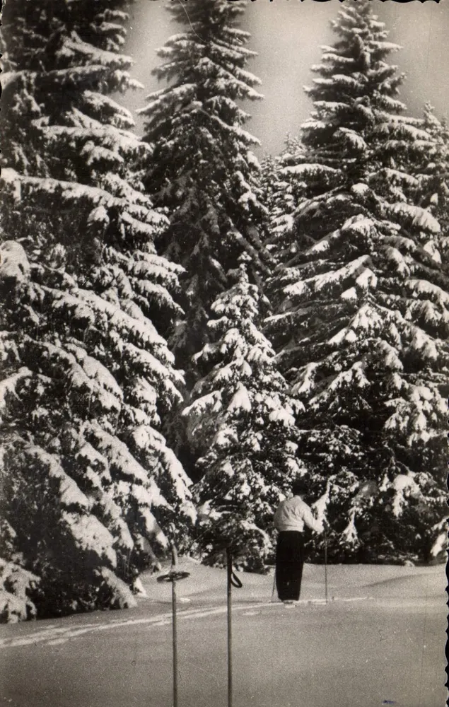 El Alto Jura en invierno — Imprenta Bourgogne, Chalon-sur-Saône, n°28 - Anverso