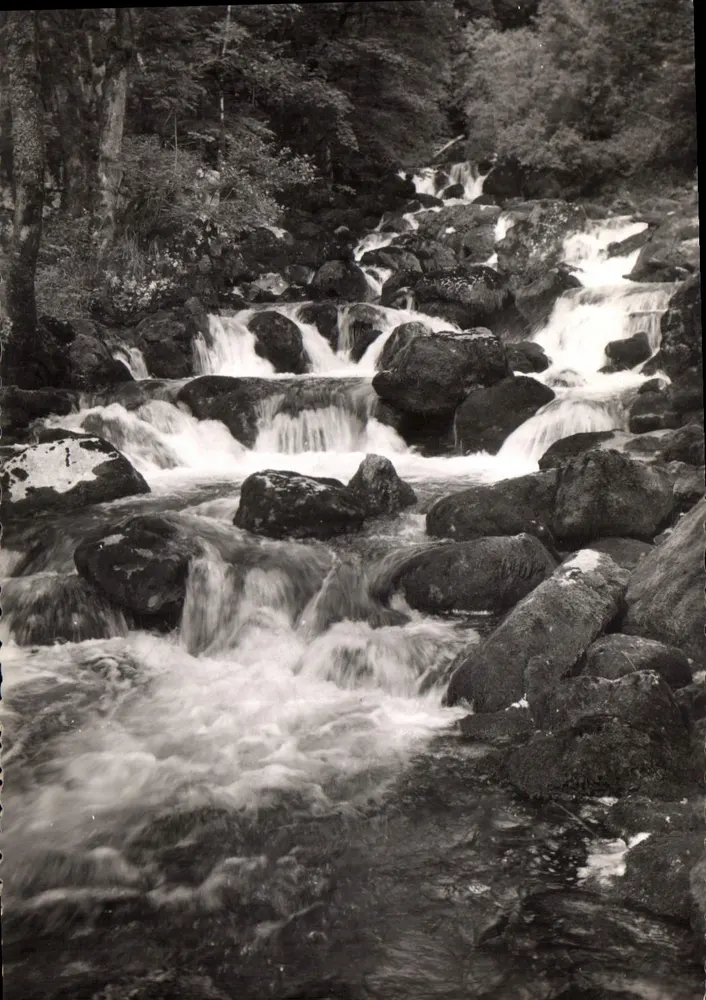 La Source du Drouvenant — Clairvaux-les-Lacs (Jura) — Edition E. PROTET - Recto