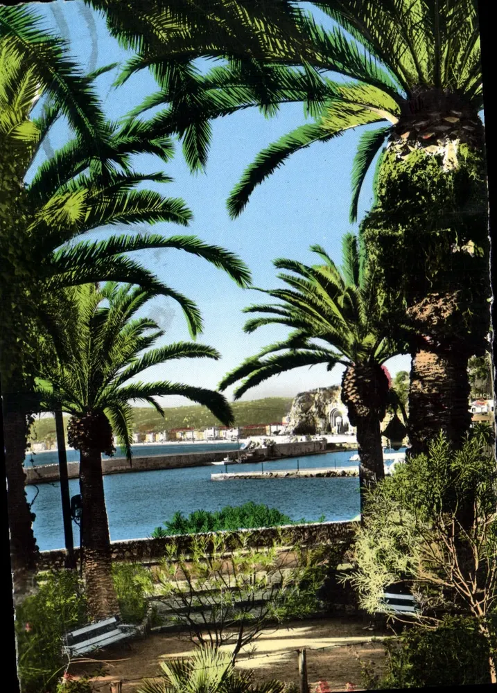 Nice - Blick auf den Hafen durch die Palmen — Editions S.E.P.I. — n° 16-5 A - Vorderseite
