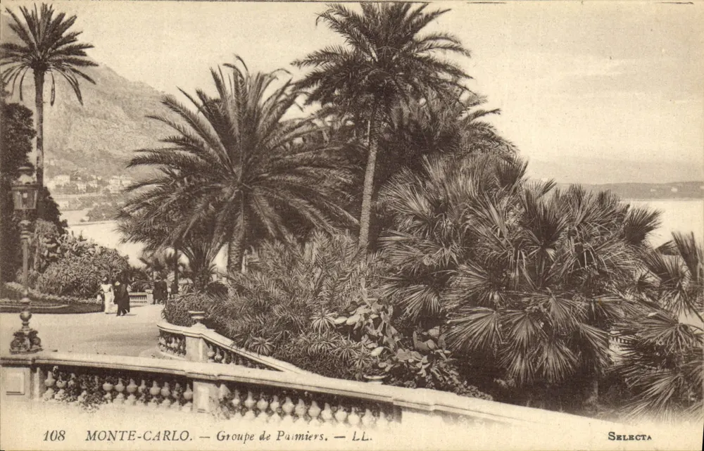 Monte-Carlo — Grupo de Palmeras — Selecta, n°108 - Anverso
