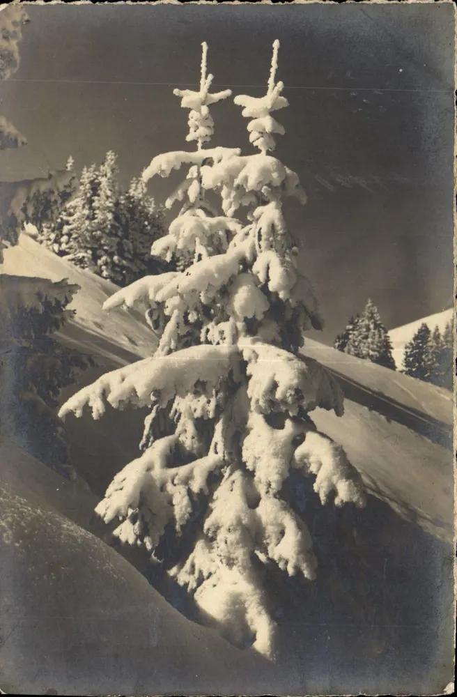 Schneefannen — 3103 — Tharl-Oyser - Fildesboden - Frente