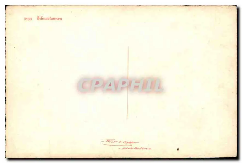 Schneefannen — 3103 — Tharl-Oyser - Fildesboden - Verso