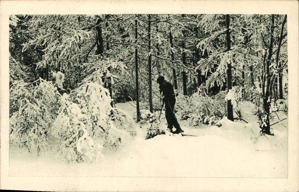 Aiguilles-en-Queyras (Hautes-Alpes) — Unter dem Frost durch den Wald — Sammlung Roudy — Verlag « Les Arts Graphiques » - Vorderseite