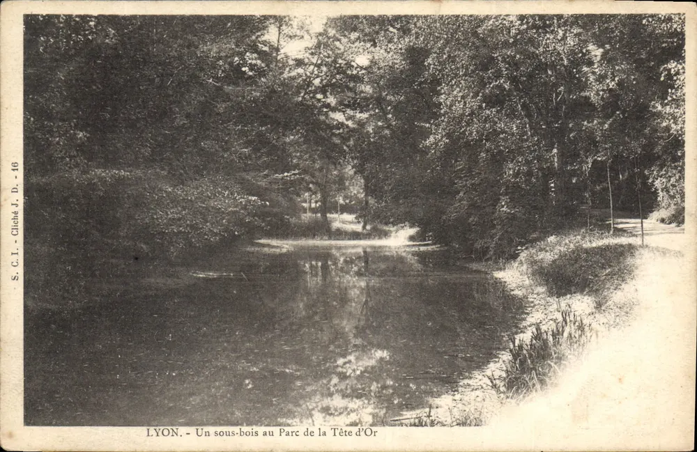 LYON - Ansicht eines Unterholzes im Parc de la Tête d'Or — S.C.I. - Foto von J. D. - 46 - Vorderseite