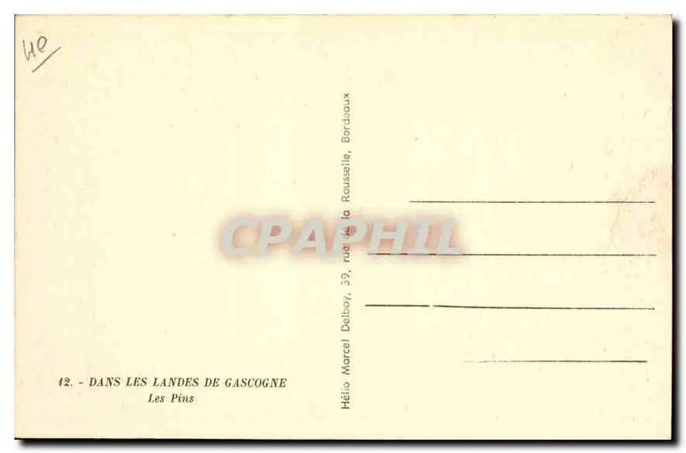 Les Pins — In den Landes de Gascogne — Hélios Marcel Delboy, 39, rue de la Rousseaux, Bordeaux - Rückseite