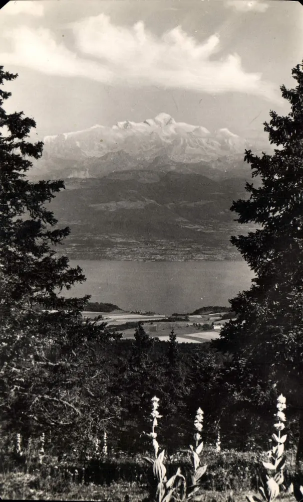 LAC LEMAN und MONT BLANC vom COL DE LA FAUCILLE gesehen — Ausgabe und Foto F. PROTEI, 3222 bis, DOLL (Jura) - Vorderseite