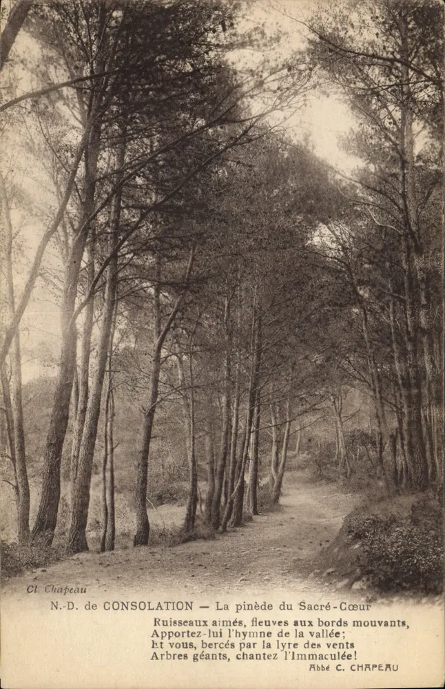 N.-D. van CONSOLATION — De pijnbomen van het Heilig Hart — Abbé C. CHAPEAU - Voorkant