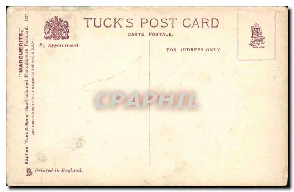 Jovem mulher com cabelos cacheados — segurando um buquê de margaridas — Tuck's Post Card n°4271 - Verso