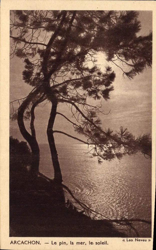 Arcachon — O pinheiro, o mar, o sol — « Leo Neveu » - Frente