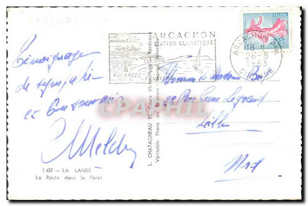 Rodovia na Floresta — Arcachon — Editor L. Chatagneau, n° 1427 - Verso