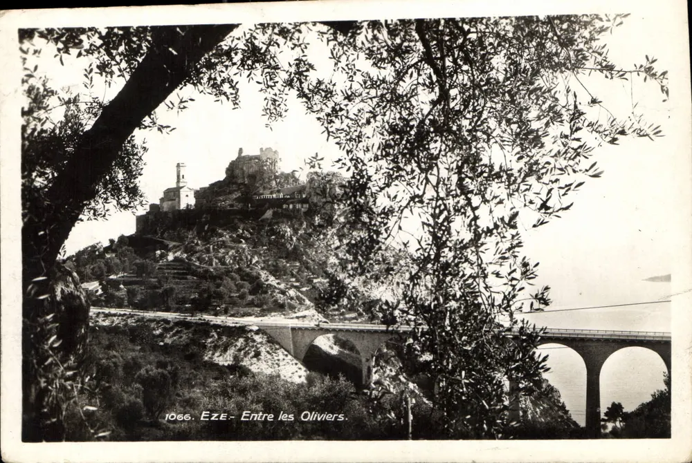 Eze — Entre os Oliveiras — L. Gilletta e Cie, Edição-Fotografia, Nice, n° 1066 - Frente