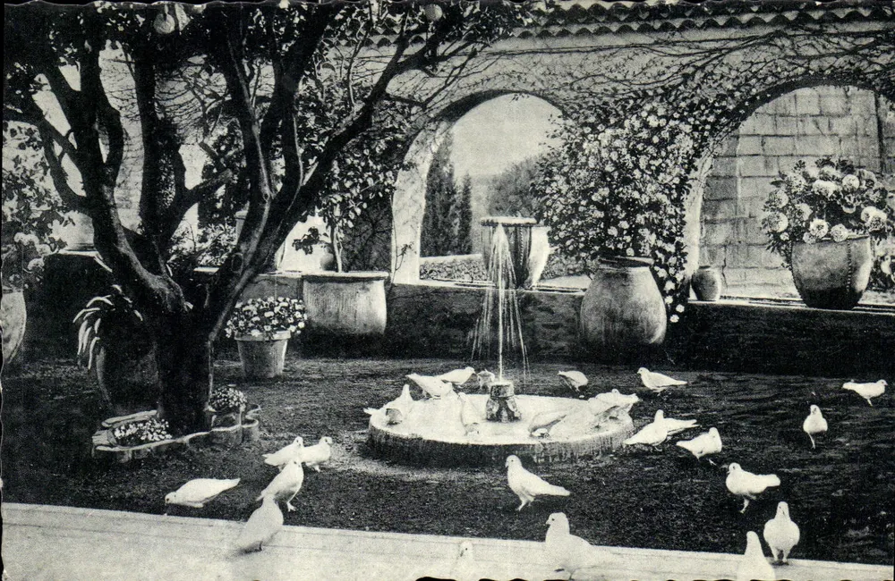 Provencalischer Garten — La Colombe d'Or — Sammlung Baux, St-Paul-de-Vence - Vorderseite