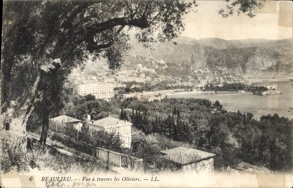 Beaulieu — Vista através dos Oliveiros — LL. - Frente