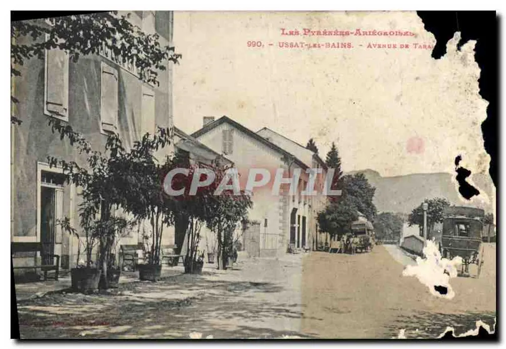 Ussat-les-Bains — Avenue de Tarrat — editor anónimo, n° 990 - Anverso