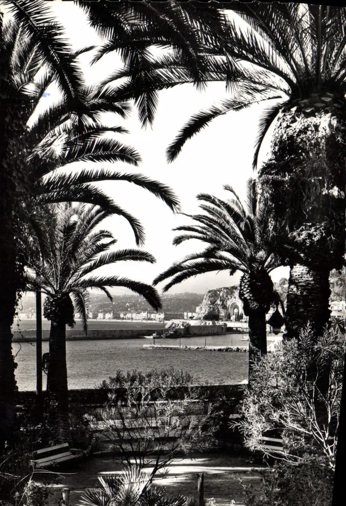 NICE - Blick auf den Hafen durch die Palmen — Editions S.E.T. - 2, rue Alexis Massa - Nice - Vorderseite