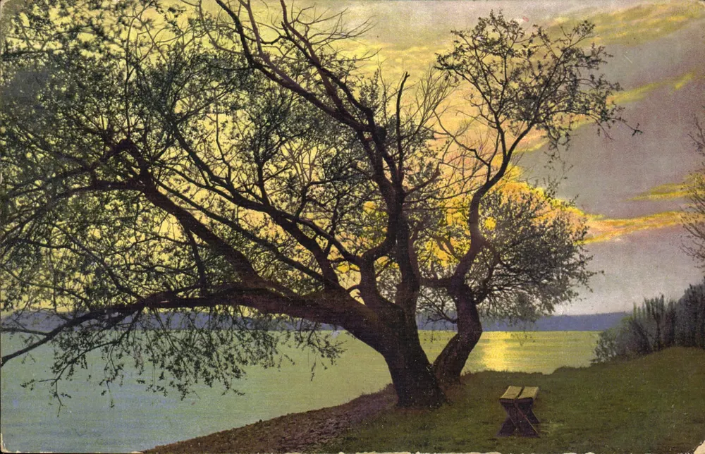 Árvore à beira de um lago — pôr do sol — Photochromie, série 171, n° 8088 - Frente
