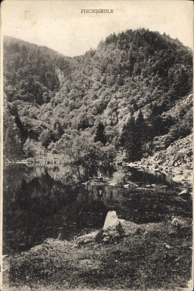 Fischbodelle — paisagem de vale com lago e floresta — Cartas 'La Gigogne', Strasbourg - Frente