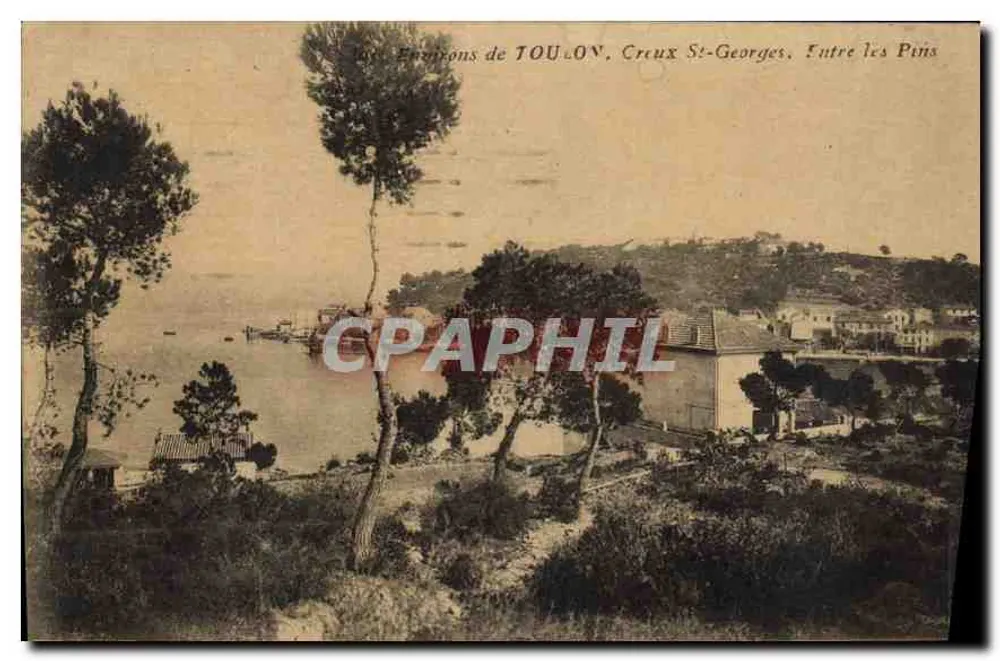 Toulon, Creux St-Georges, Zwischen den Kiefern — Panoramablick — unbekannter Verleger - Vorderseite