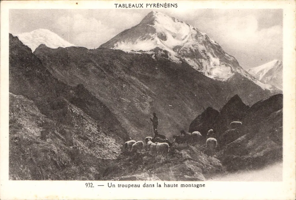 Eine Herde in den Bergen — Pyrenäen-Ansichten n°932 — Pyrénées-Océan-Edition, Labouche frères, Toulouse - Vorderseite