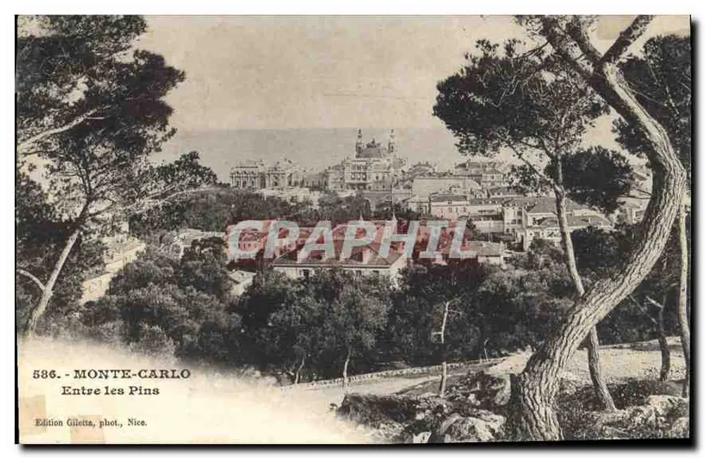 Monte-Carlo — Between the Pines — Edition Giletta, phot., Nice, n° 586 - Front