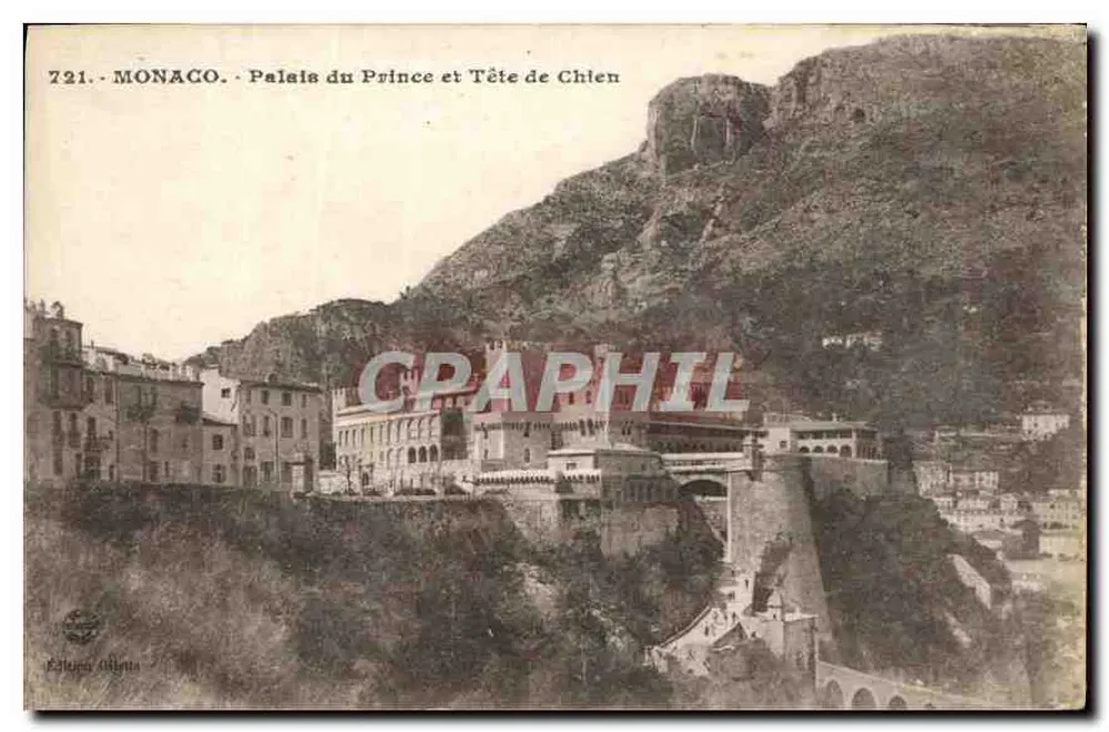 Monaco - Palast des Prinzen und Hundekopf - Verlag Delleta, Nr. 721 - Vorderseite