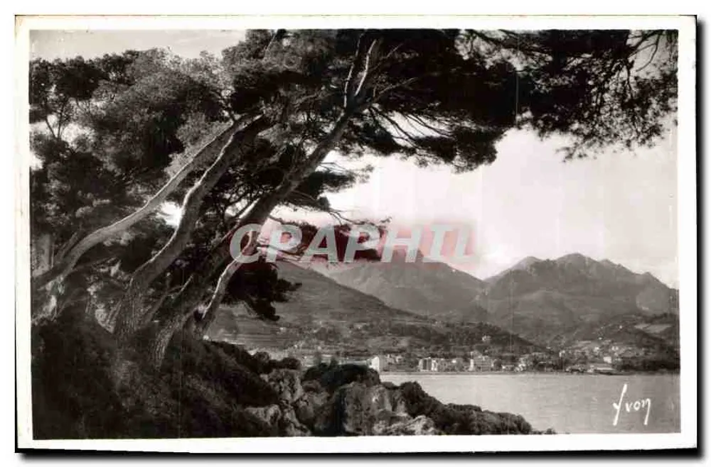 Menton (Alpes-Maritimes) — Le Massif des Alpes vu du Cap Martin — Éditions d'Art "Menton" - Vorderseite