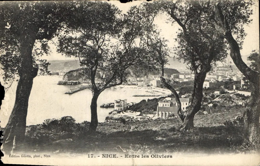 NICE — Entre les Oliviers — Édition Giletta, phot. Nice, n°17 - Vorderseite