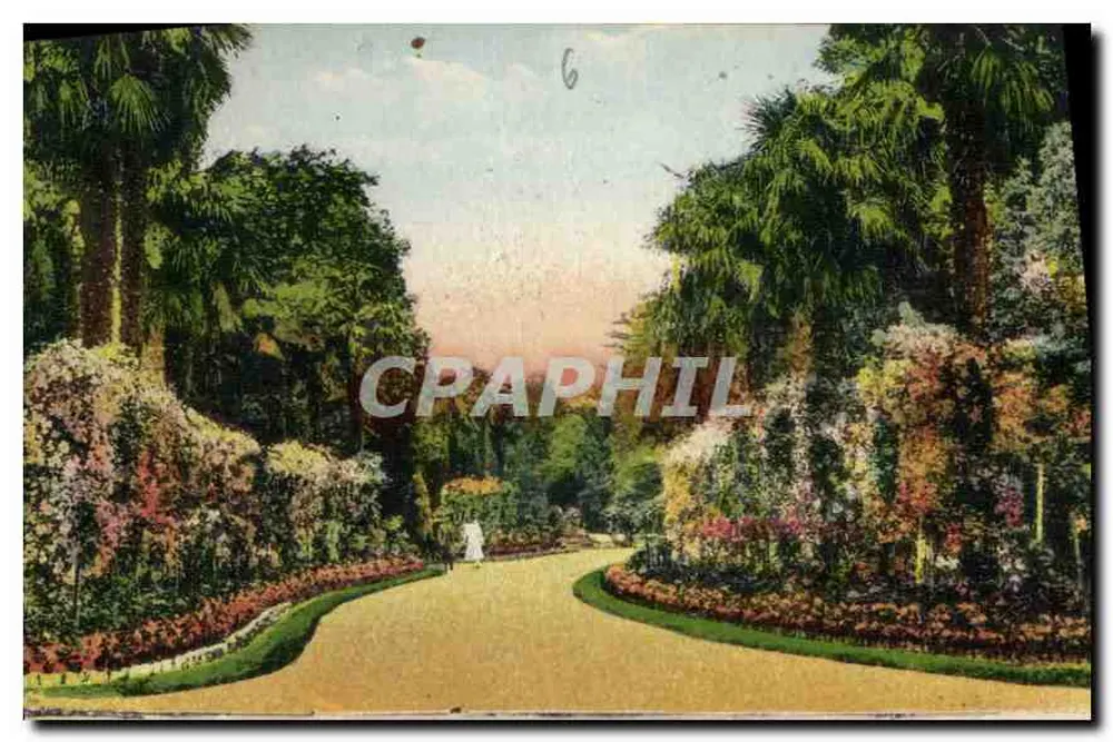 Allée des Rosiers — Tarbes — Éditions Jardin Motsey - Vorderseite