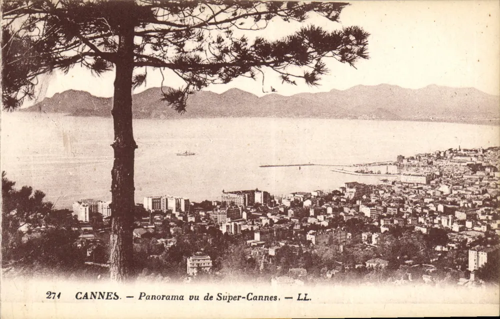 CANNES — Panorama visto de Super-Cannes — LL. — n° 274 - Frente